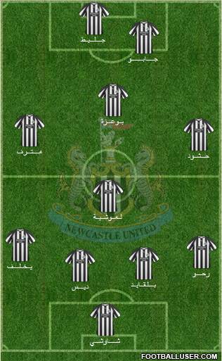 Newcastle United Formation 2010