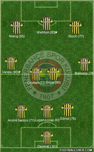 Fenerbahçe SK Formation 2010