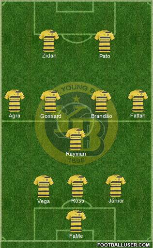 BSC Young Boys Formation 2010