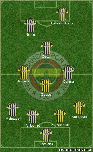 Fenerbahçe SK Formation 2010