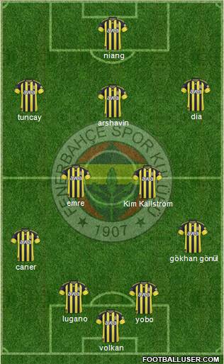 Fenerbahçe SK Formation 2010
