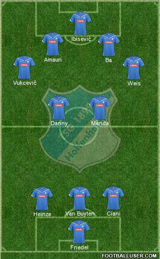 TSG 1899 Hoffenheim Formation 2010