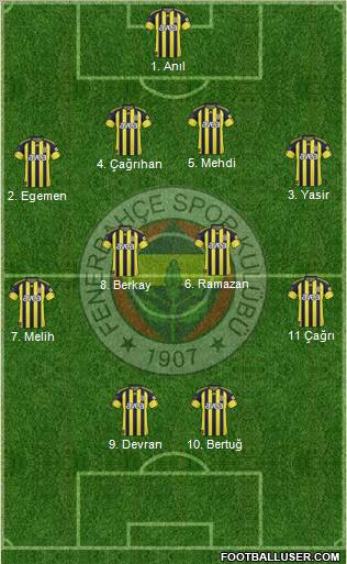 Fenerbahçe SK Formation 2010