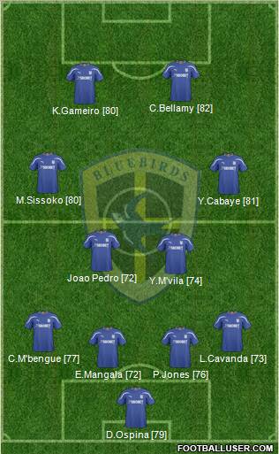 Cardiff City football formation