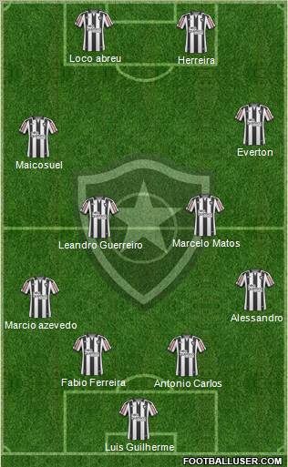 Botafogo FR Formation 2010