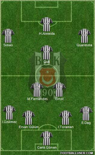 Besiktas JK Formation 2010