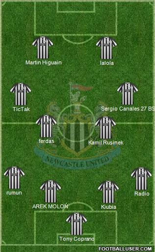 Newcastle United Formation 2010