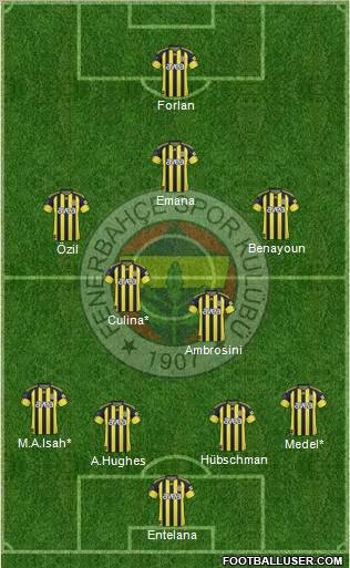 Fenerbahçe SK Formation 2010