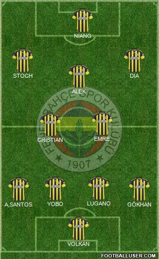 Fenerbahçe SK Formation 2010