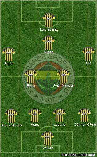 Fenerbahçe SK Formation 2010