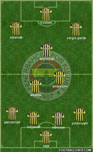 Fenerbahçe SK Formation 2010