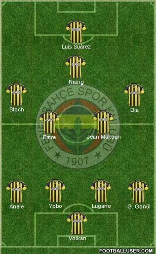 Fenerbahçe SK Formation 2010