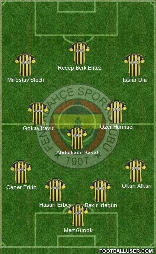Fenerbahçe SK Formation 2010