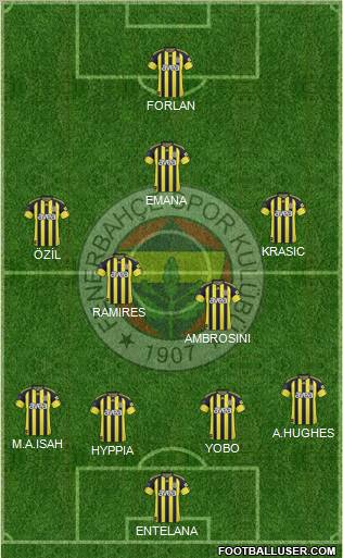 Fenerbahçe SK Formation 2010