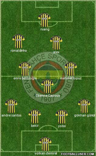 Fenerbahçe SK Formation 2011