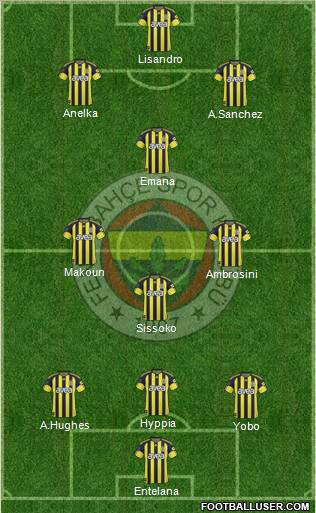 Fenerbahçe SK Formation 2011