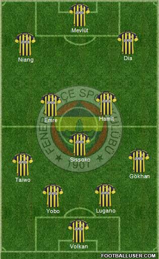 Fenerbahçe SK Formation 2011