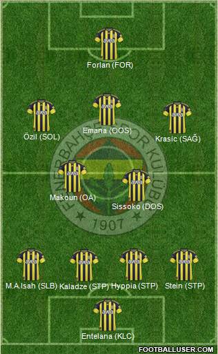 Fenerbahçe SK Formation 2011