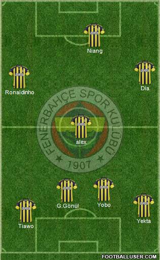 Fenerbahçe SK Formation 2011