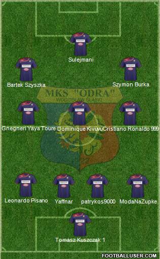 Odra Wodzislaw Slaski Formation 2011