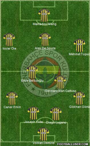 Fenerbahçe SK Formation 2011