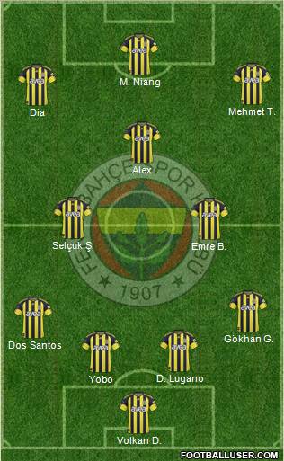 Fenerbahçe SK Formation 2011