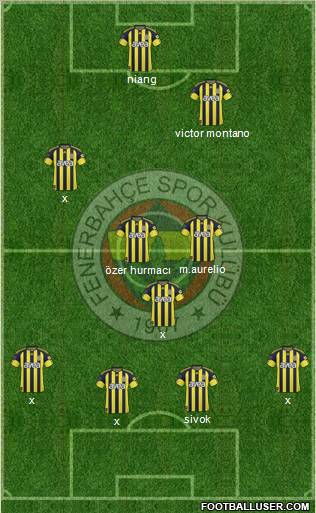 Fenerbahçe SK Formation 2011