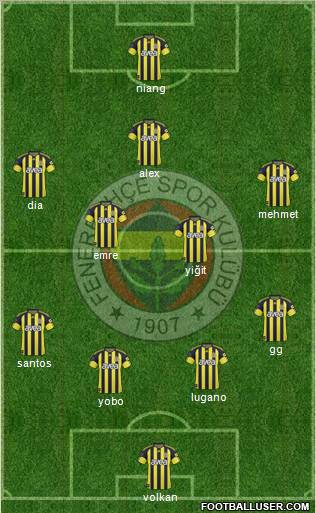 Fenerbahçe SK Formation 2011