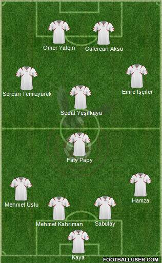 Kartalspor Formation 2011