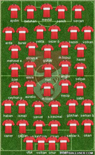 Turkey Formation 2011