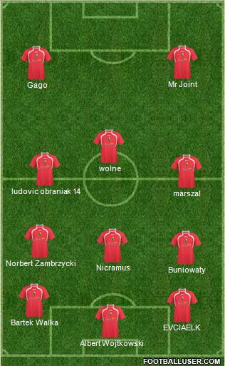 Llanelli AFC Formation 2011