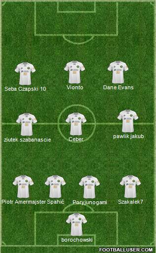Gornik Leczna Formation 2011