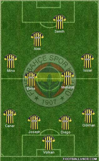 Fenerbahçe SK Formation 2011