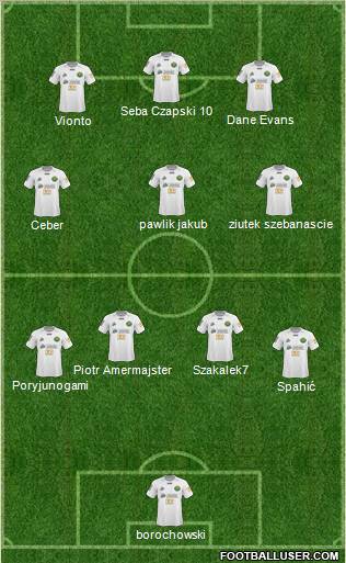 Gornik Leczna Formation 2011