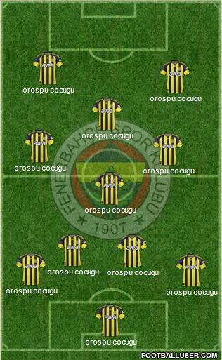 Fenerbahçe SK Formation 2011