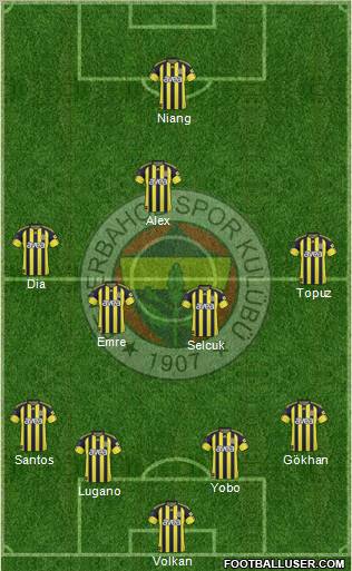 Fenerbahçe SK Formation 2011