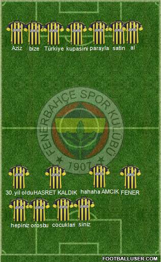 Fenerbahçe SK Formation 2011