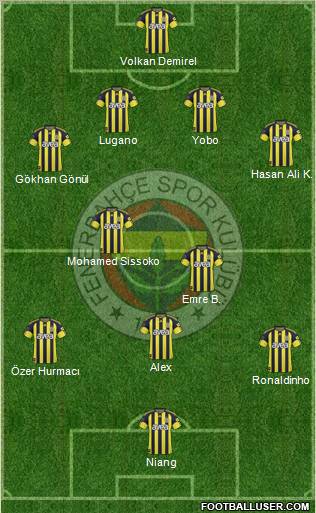 Fenerbahçe SK Formation 2011