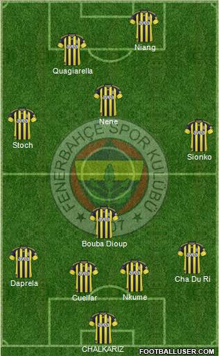 Fenerbahçe SK Formation 2011