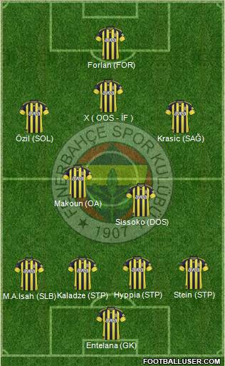 Fenerbahçe SK Formation 2011