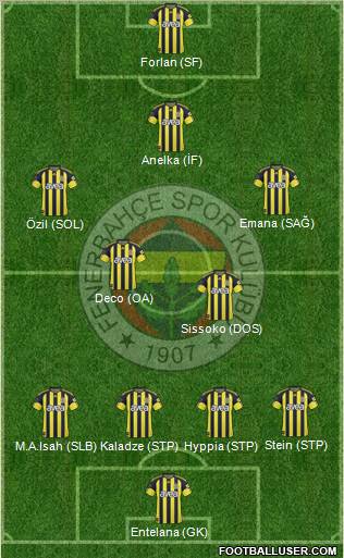Fenerbahçe SK Formation 2011