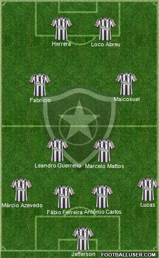 Botafogo FR Formation 2011