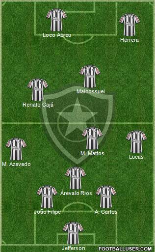 Botafogo FR Formation 2011