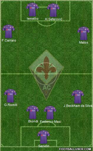 Fiorentina Formation 2011