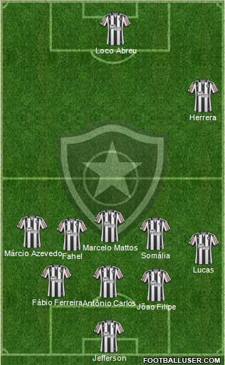 Botafogo FR Formation 2011