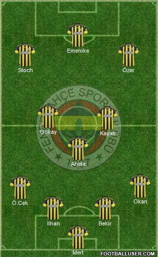 Fenerbahçe SK Formation 2011