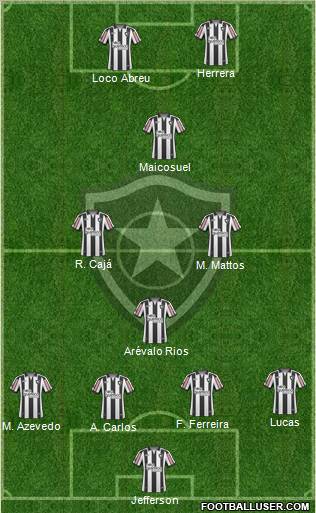 Botafogo FR Formation 2011