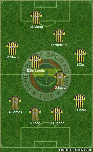 Fenerbahçe SK Formation 2011