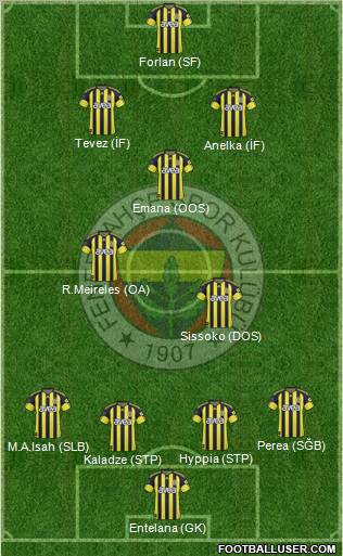 Fenerbahçe SK Formation 2011