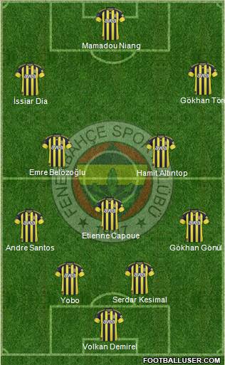 Fenerbahçe SK Formation 2011